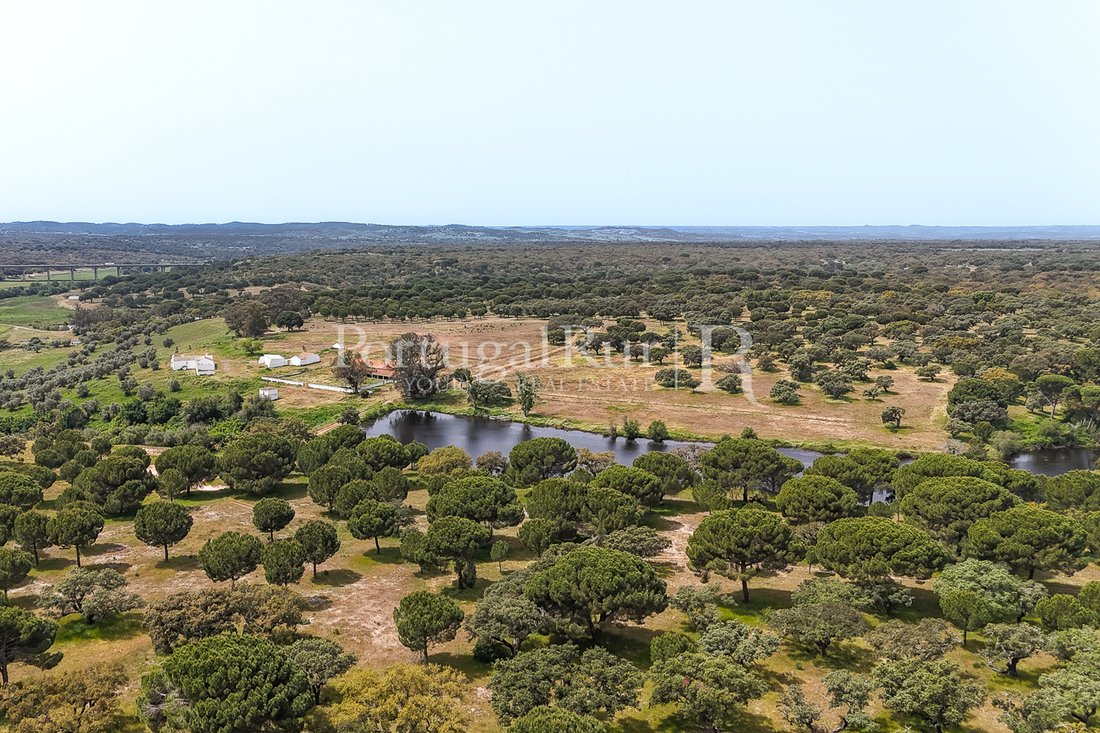 Domaine à Grandola et Santa Margarida da Serra, Setúbal Municipality, Portugal 2 - 18372244