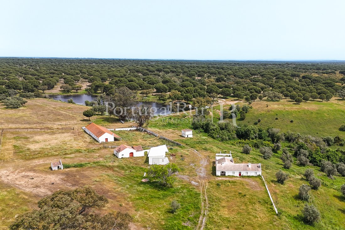 Domaine à Grandola et Santa Margarida da Serra, Setúbal Municipality, Portugal 3 - 18372244