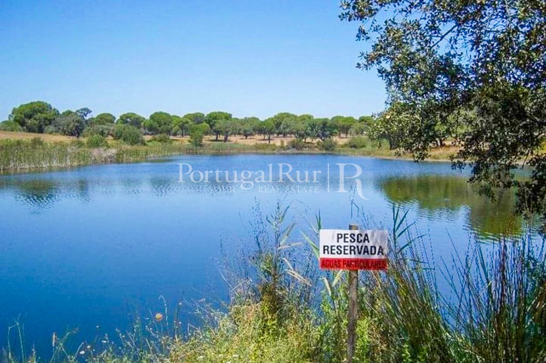 Domaine à Grandola et Santa Margarida da Serra, Setúbal Municipality, Portugal 5 - 18372244