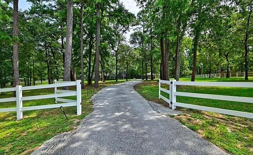 House in Conroe, Texas, United States 1