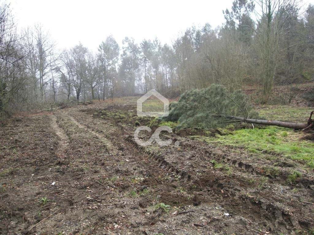 Land in Infantas, Braga, Portugal 5 - 18375111
