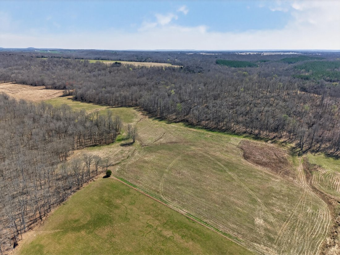 House in Marion, Kentucky, United States 3 - 18372914