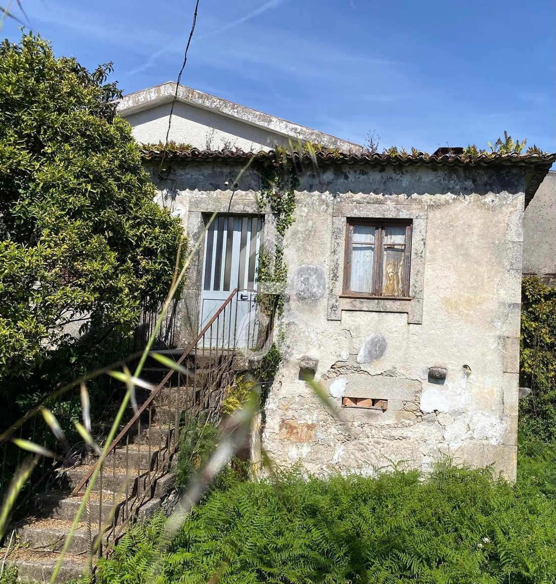 Land in Darque, Viana do Castelo District, Portugal 4 - 18381007
