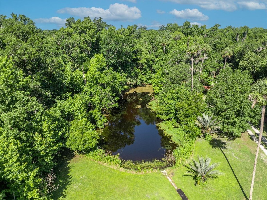 House in Oviedo, Florida, United States 4 - 17970551