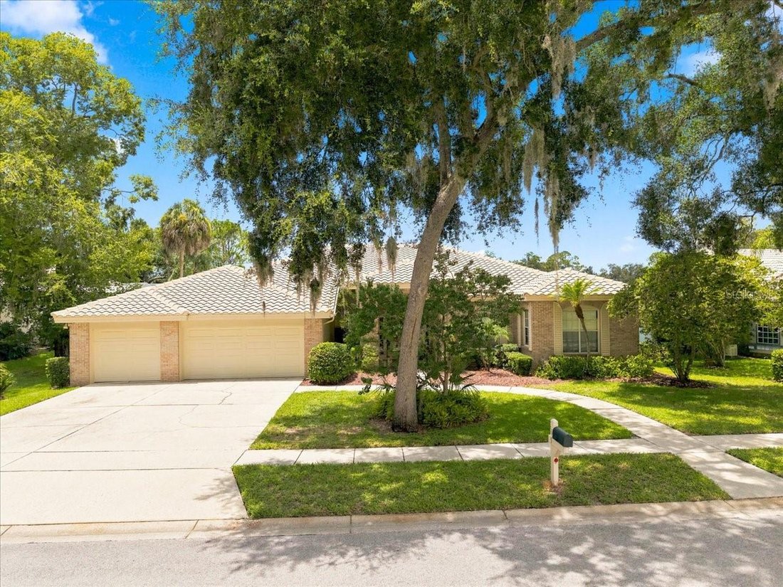 House in Oldsmar, Florida, United States 1 - 18379930