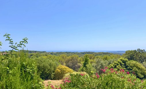 House in Brusquet-Retenaou-Devens, Vallauris, France 1