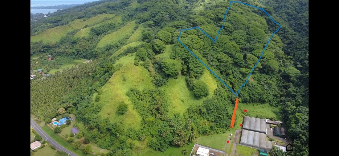 Land in Taiarapu-Est, Französisch-Polynesien 1 - 18385036