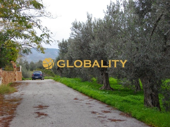 Land in Galataki Community, Saronikos, Greece 2 - 18373246