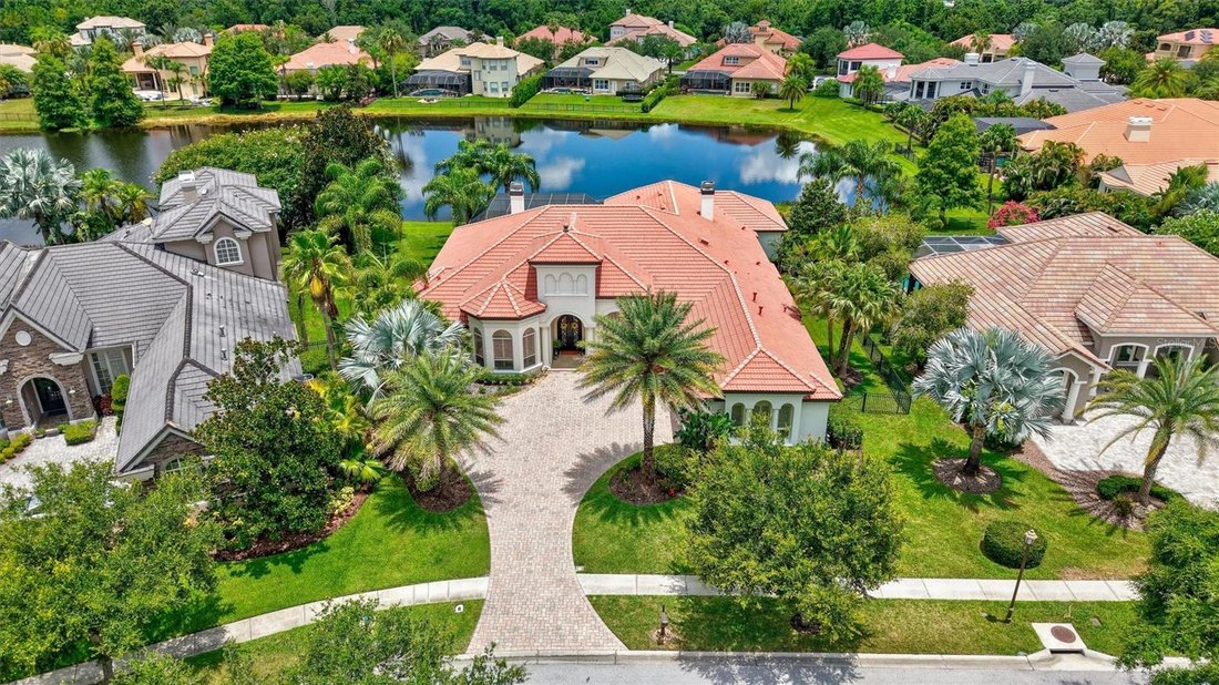 House in Tampa, Florida, United States 4 - 18379833