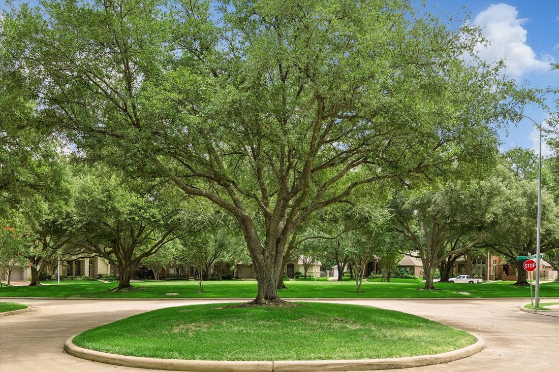 House in Houston, Texas, United States 5 - 18373626