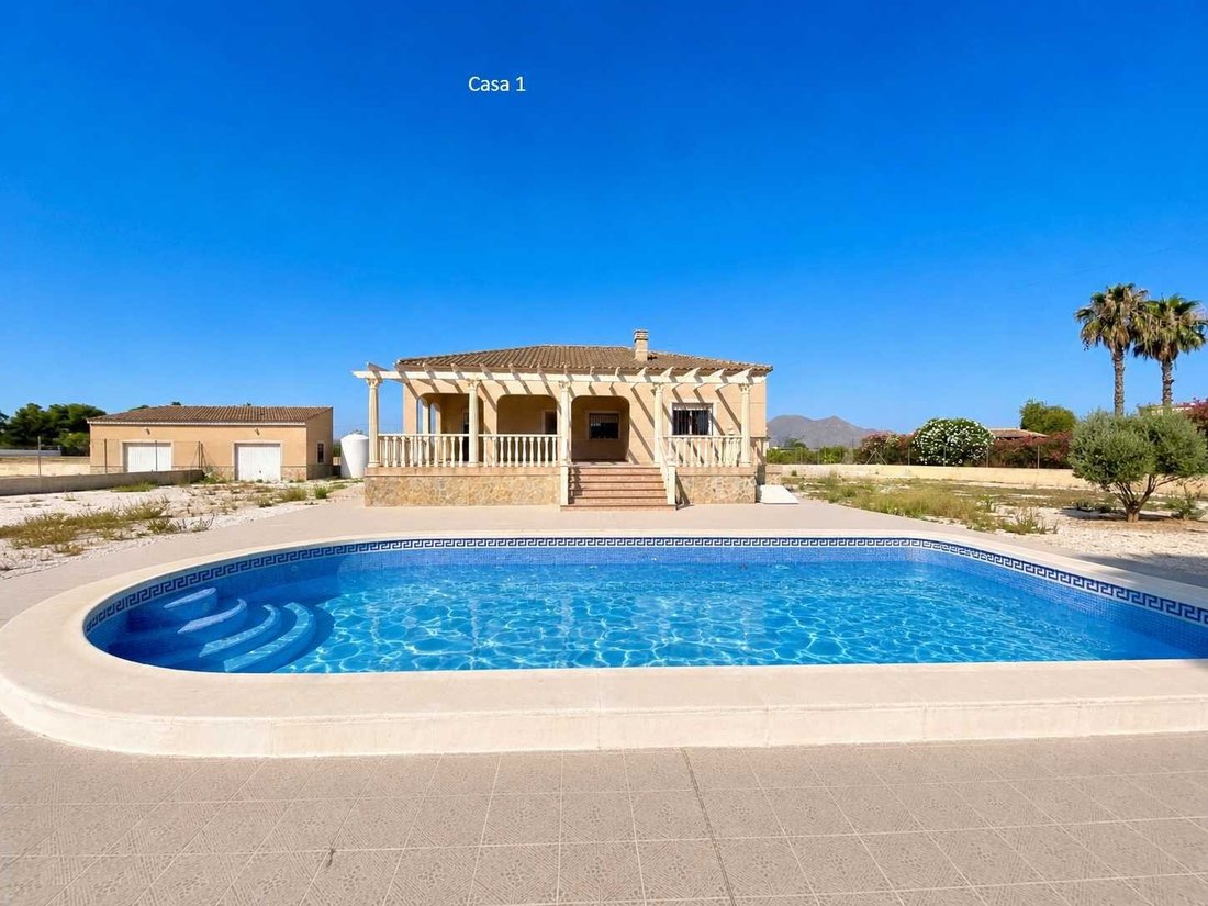 House in Crevillent, Valencian Community, Spain 5 - 18381974