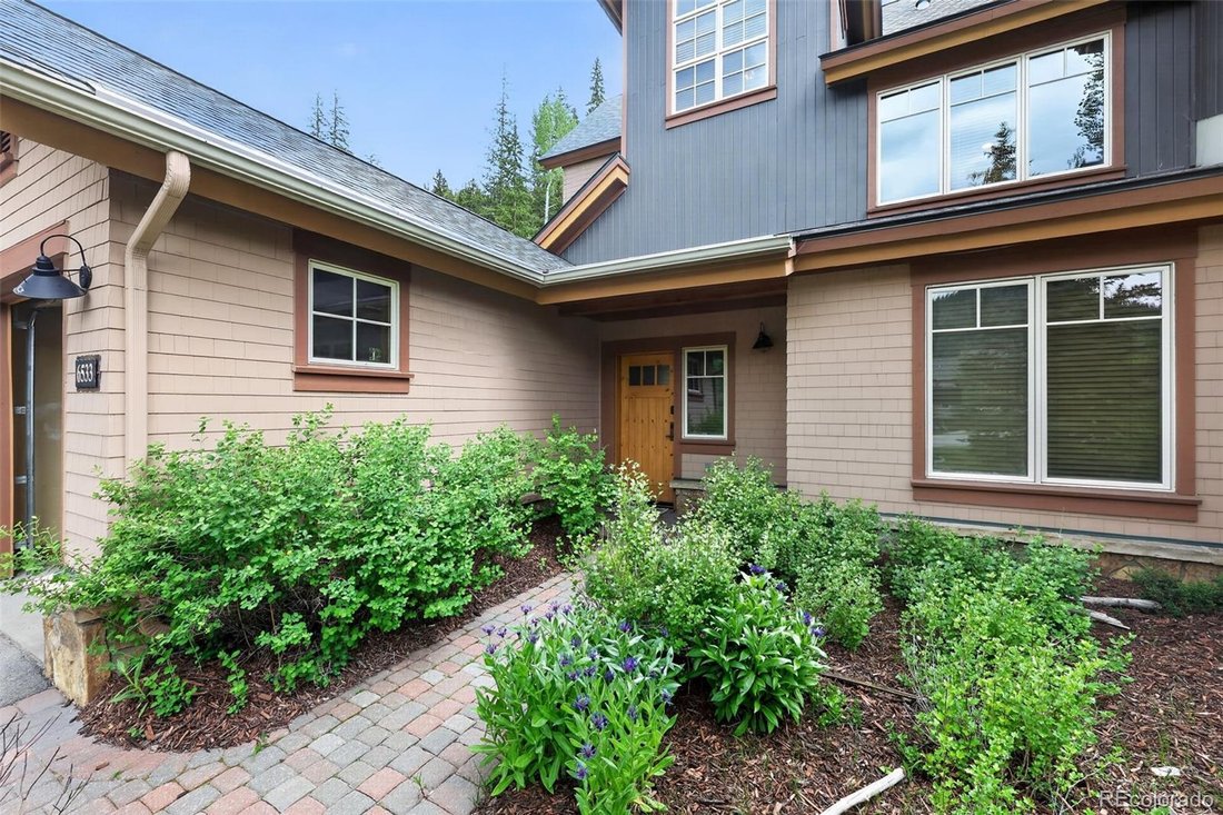 Condo in Dillon, Colorado, United States 2 - 18372633