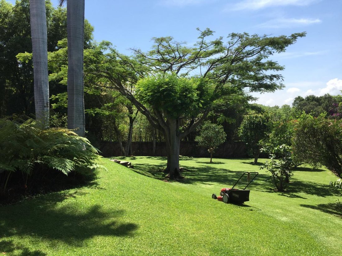 House in Cuernavaca, Morelos, Mexico 3 - 18377328