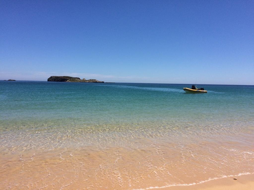 Apartment in Armacao de Pera, Algarve, Portugal 3 - 18377305
