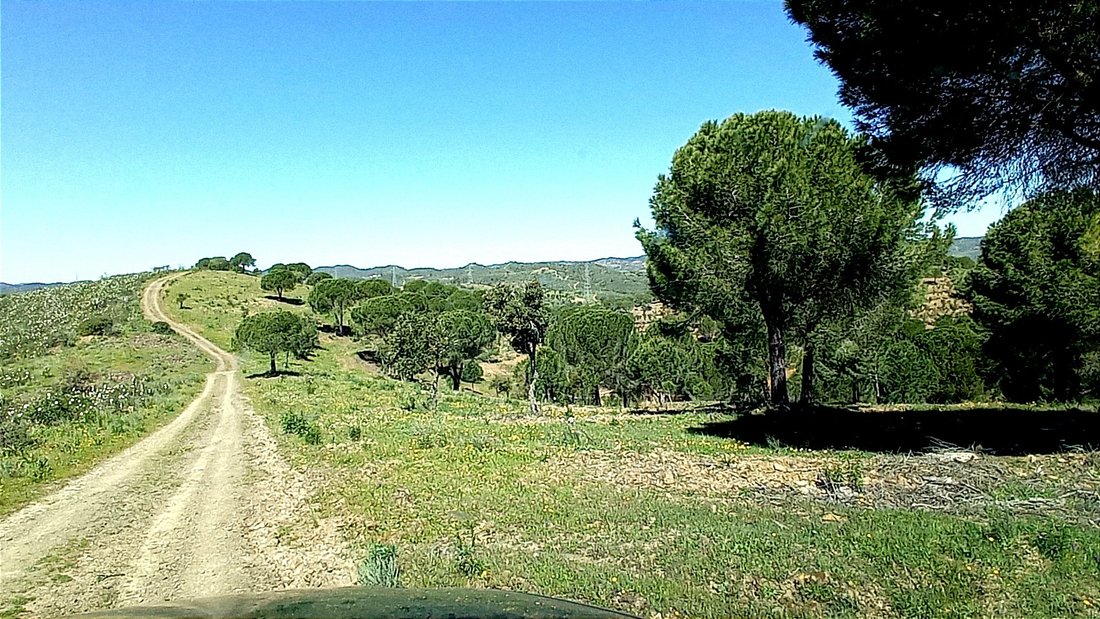 Farm Ranch in Sao Bartolomeu de Messines, Algarve, Portugal 5 - 18376940