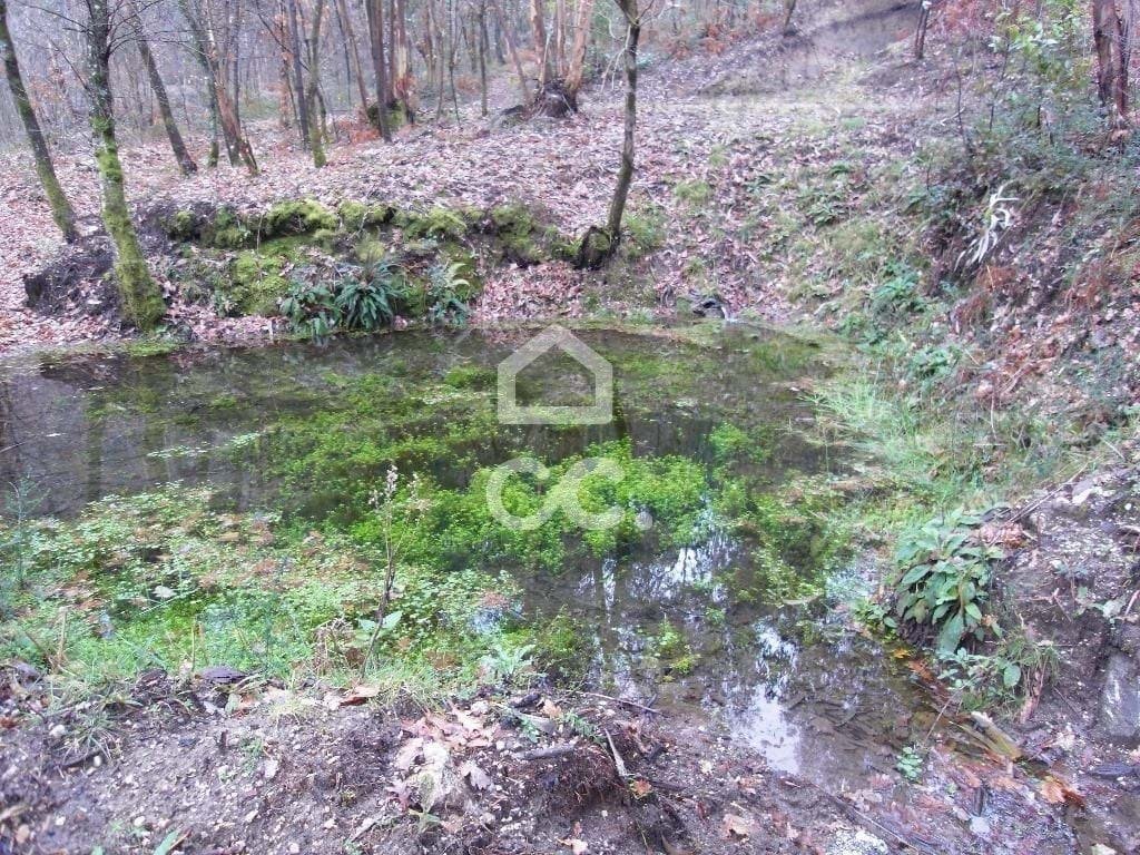 Land in Infantas, Braga, Portugal 3 - 18375111