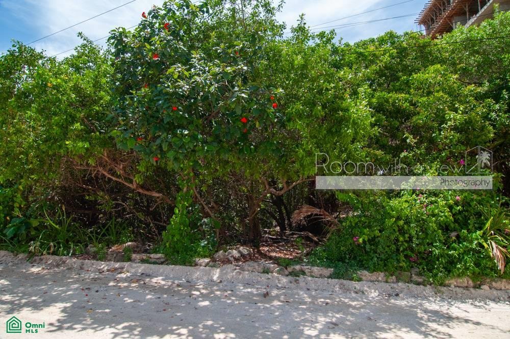 Land in Dreams Tulum, Quintana Roo, Mexico 4 - 17804353