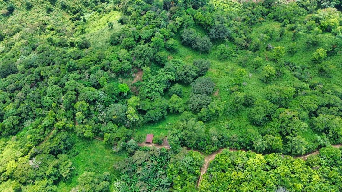 Land in Coatepec, Veracruz, Mexico 4 - 18374670