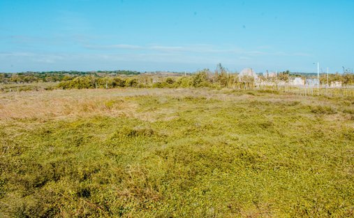 Land in Playa Zapote, Veracruz, Mexiko 1