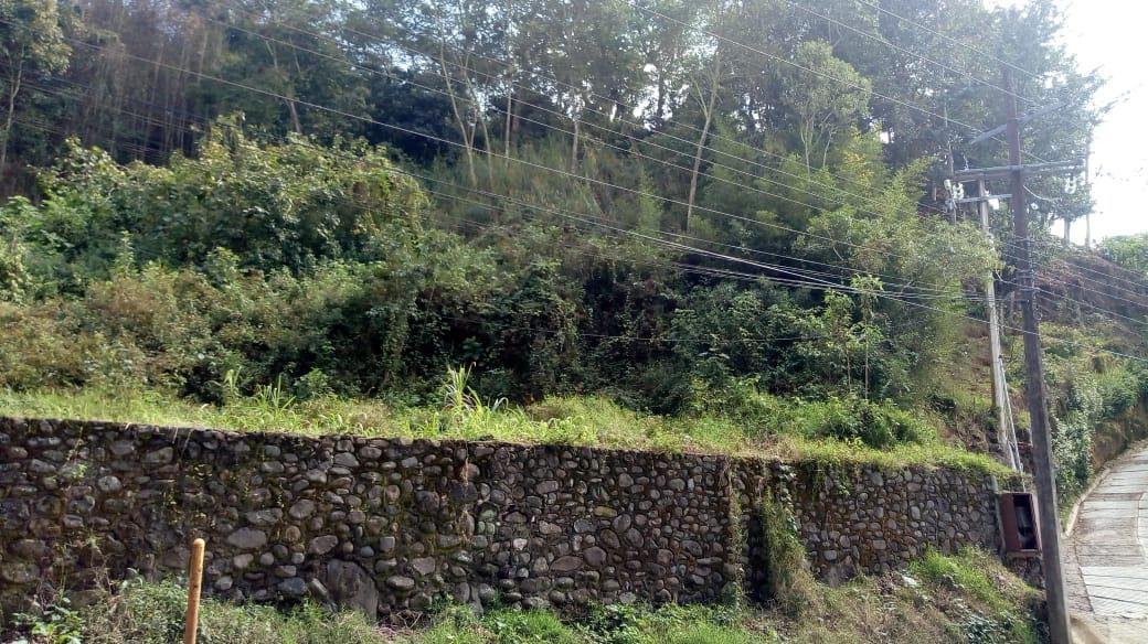 Land in Coatepec, Veracruz, Mexico 3 - 18374600