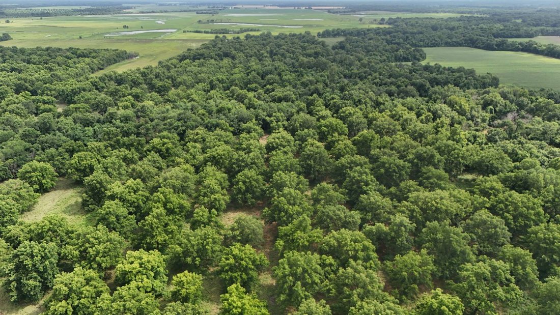 Terrain à Chetopa, Kansas, États-Unis 3 - 18372644