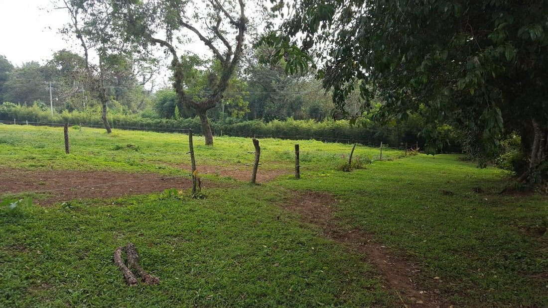 Land in Coatepec, Veracruz, Mexico 2 - 18374660