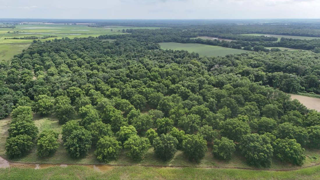 Terrain à Chetopa, Kansas, États-Unis 1 - 18372644