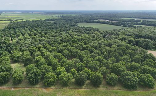 Terrain à Chetopa, Kansas, États-Unis 1