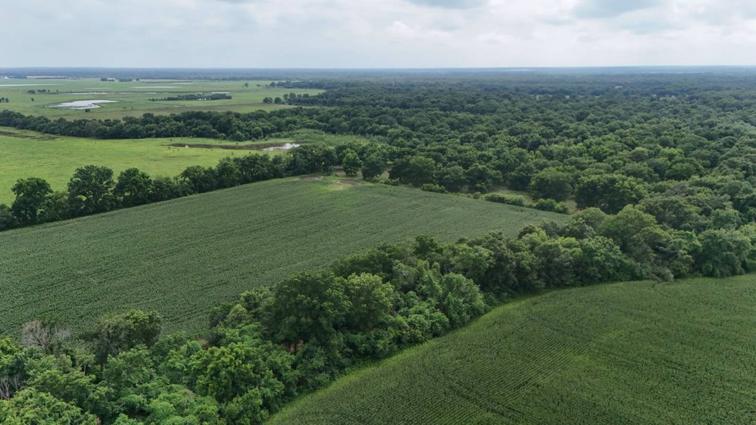 Terreno a Ritchey, Missouri, Stati Uniti 1 - 18372649