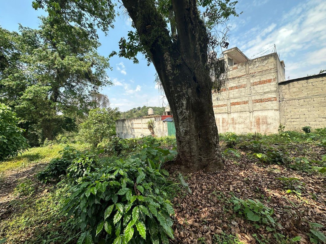 Land in Coatepec, Veracruz, Mexico 5 - 18374646