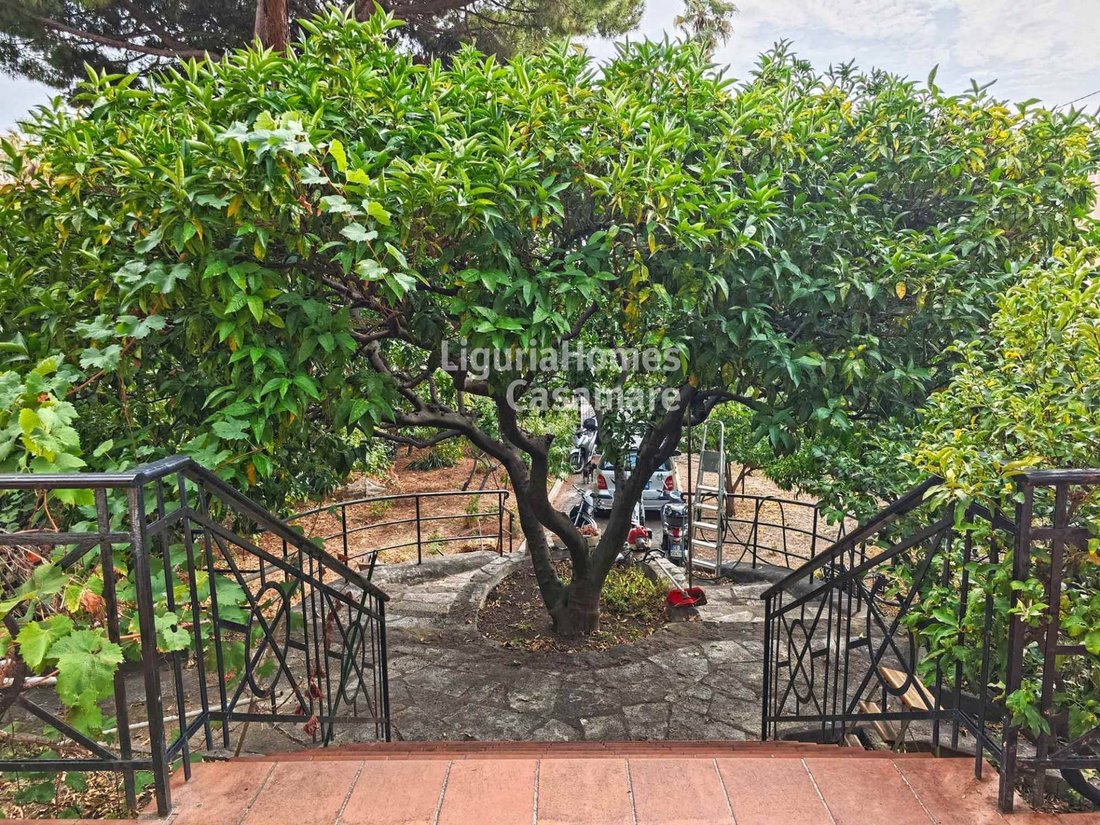 Apartment in Bordighera, Liguria, Italy 3 - 13888341