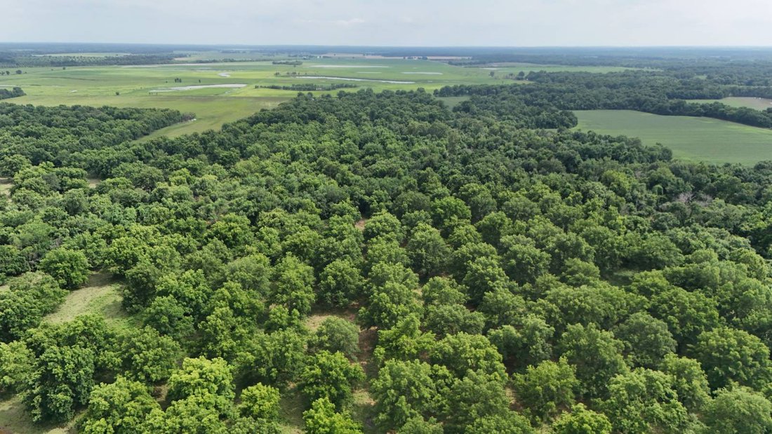 Terrain à Chetopa, Kansas, États-Unis 2 - 18372644
