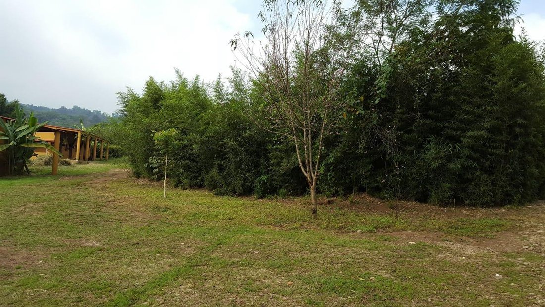 Land in Coatepec, Veracruz, Mexico 5 - 18374660