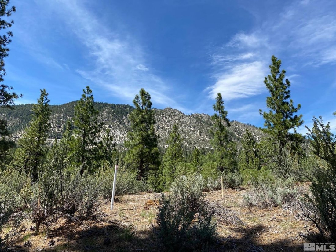 Land in Genoa, Nevada, United States 3 - 12195650