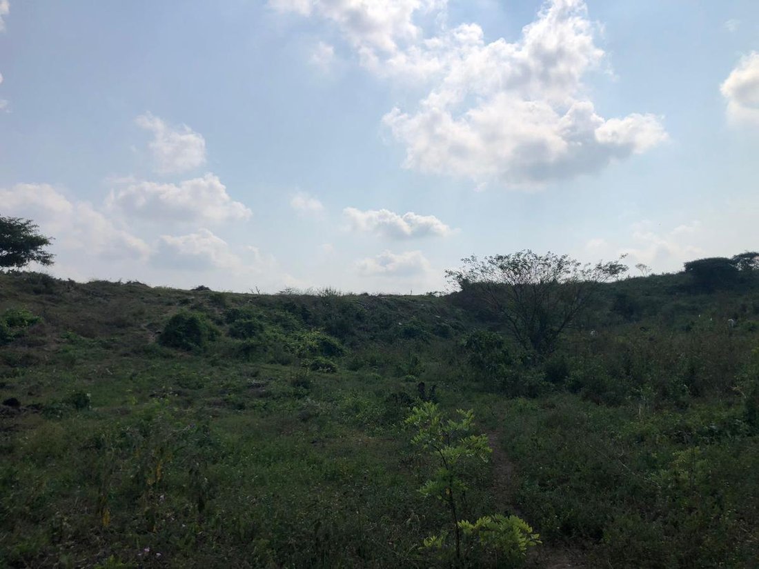 Land in Alvarado, Veracruz, Mexico 5 - 18374636