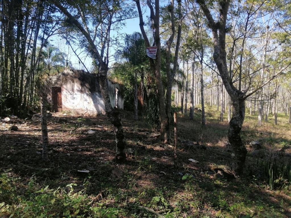Land in Coatepec, Veracruz, Mexico 3 - 18374629