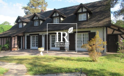 House in Menestreau-en-Villette, Centre-Val de Loire, France 1