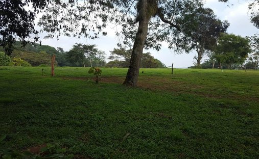 Land in Coatepec, Veracruz, Mexiko 1