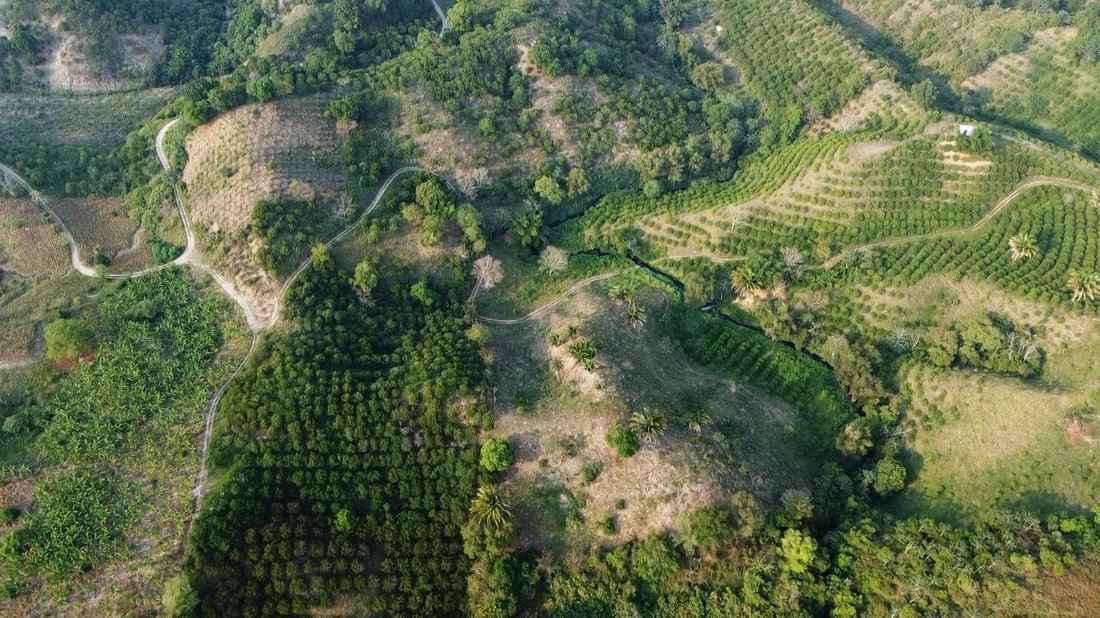 Land in Tlapacoyan, Veracruz, Mexico 5 - 18374674
