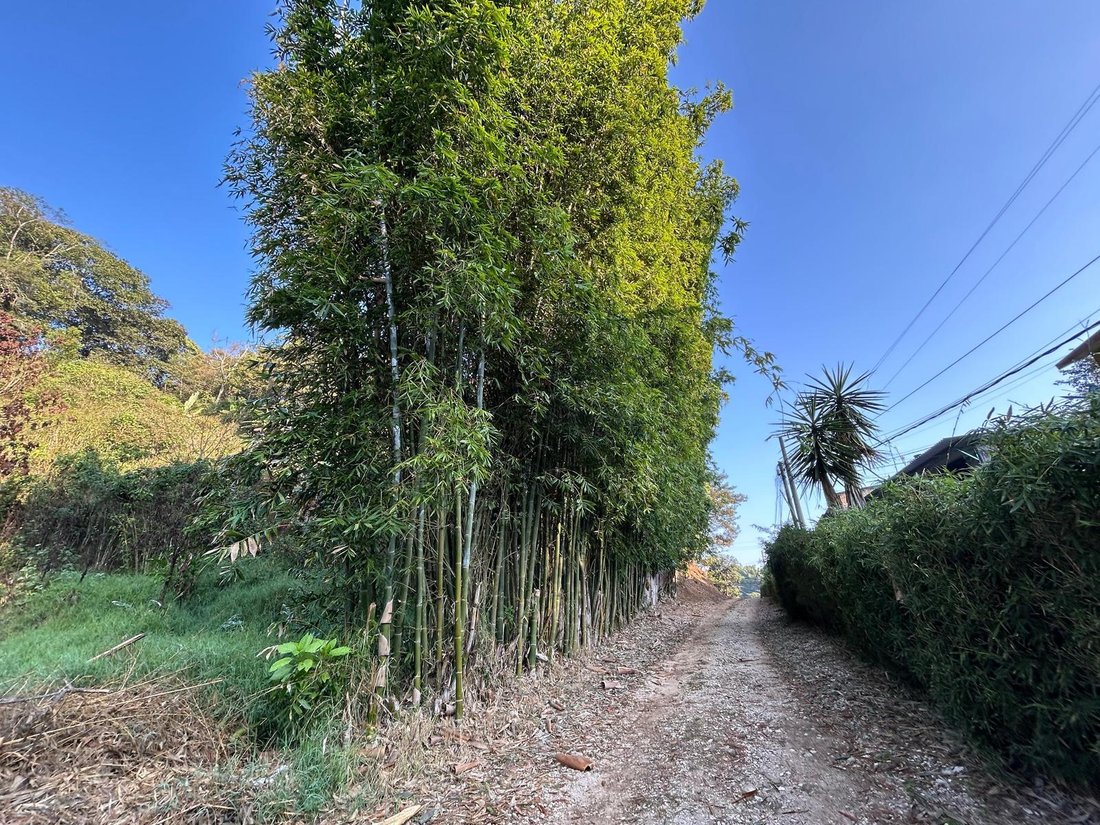 Land in Los Baños, Veracruz, Mexico 3 - 18374687