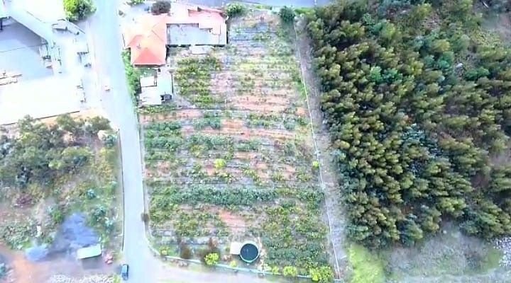 Villa in Estreito da Calheta, Madeira, Portugal 2 - 18375219