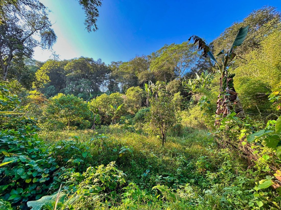 Land in Coatepec, Veracruz, Mexico 3 - 18374686