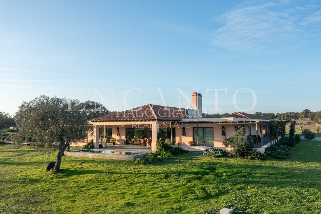Finca in Pavia, Évora District, Portugal 5 - 15430920