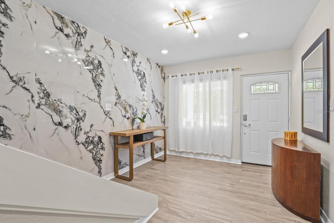House in Dunedin, Florida, United States 5 - 18379866