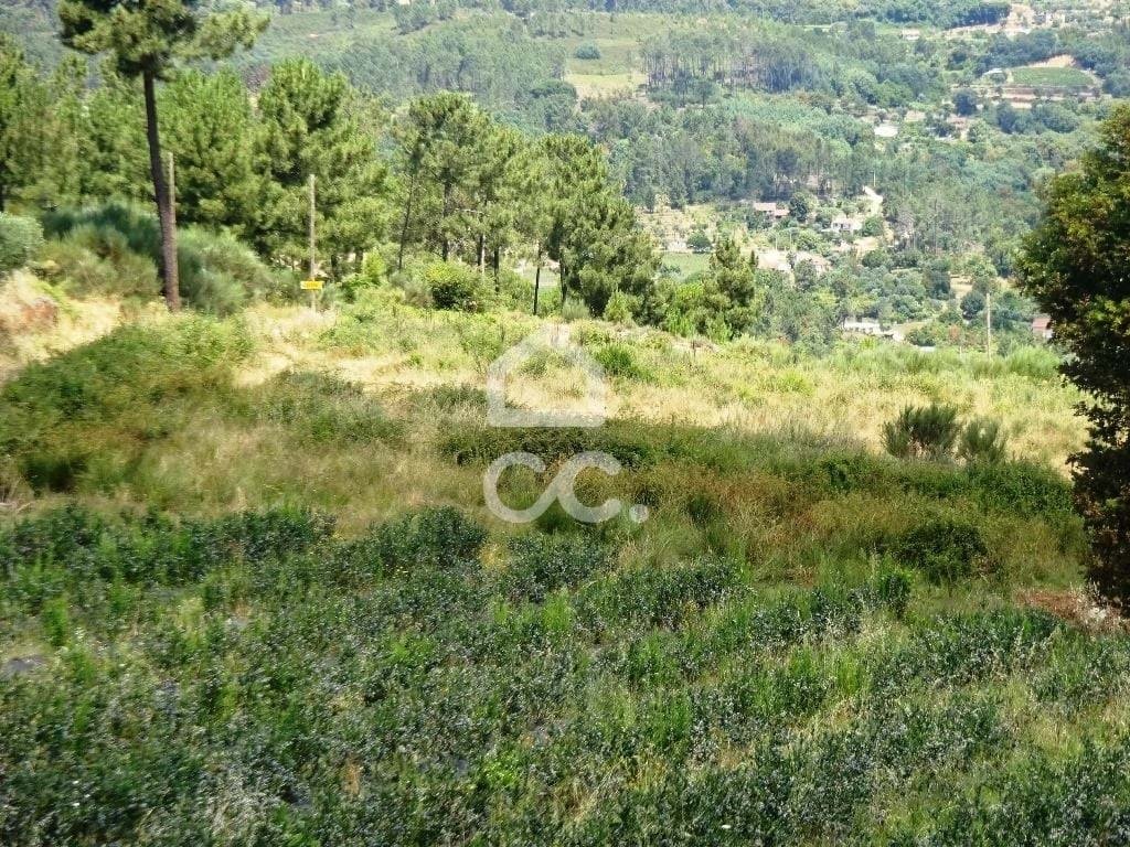 Farm Ranch in Alcafache, Viseu District, Portugal 5 - 18380878