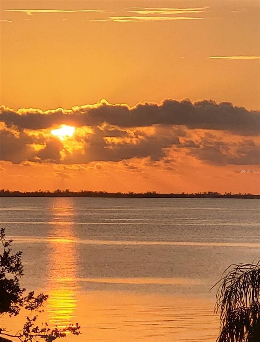 House in Sarasota, Florida, United States 1 - 18145409