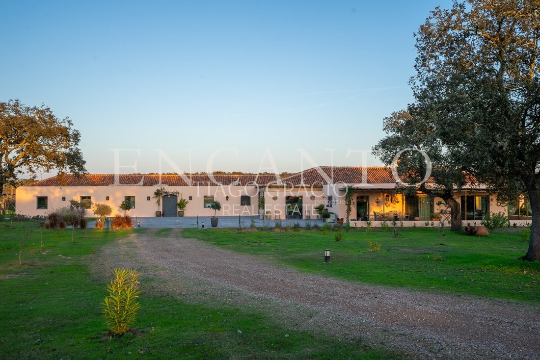 Finca in Pavia, Évora District, Portugal 3 - 15430920