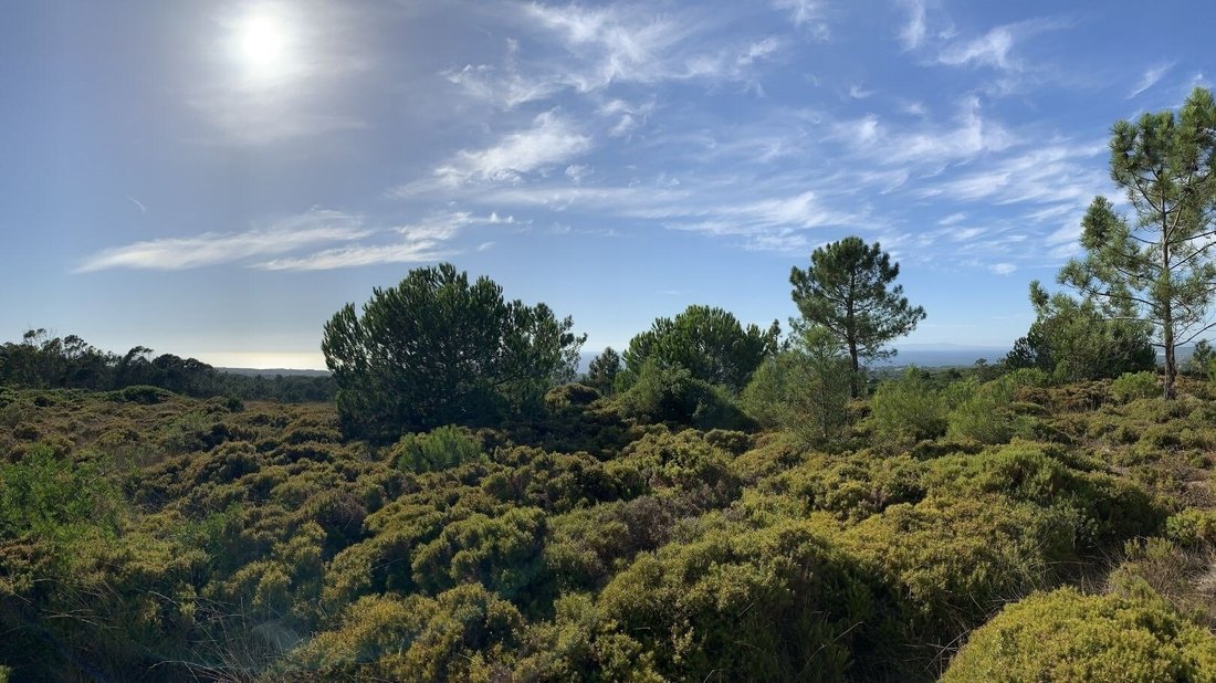 Sesimbra (Castelo), Setubal, Portugal 3 - 18376213