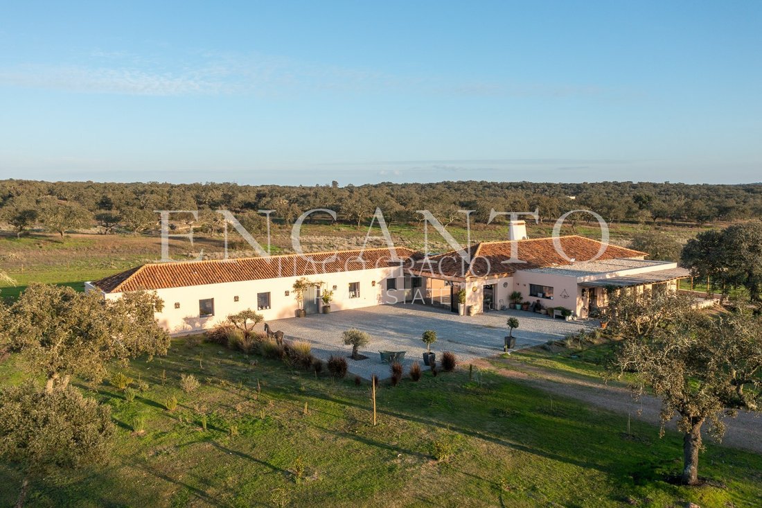 Finca in Pavia, Évora District, Portugal 4 - 15430920