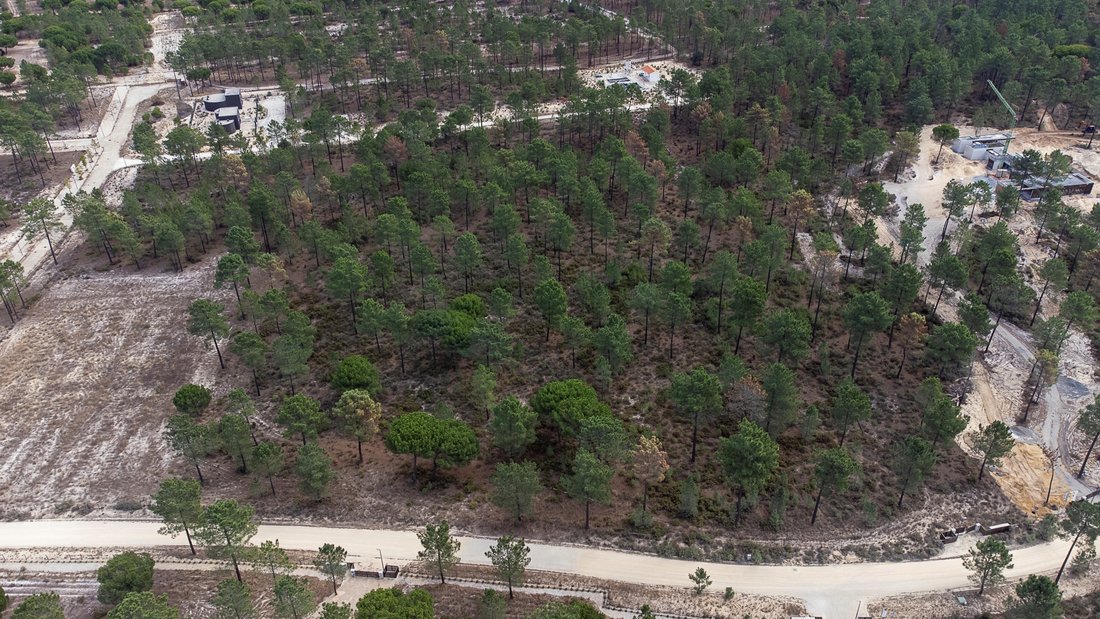 Terreno en Grandola y Santa Margarida da Serra, Setúbal Municipality, Portugal 1 - 18375390